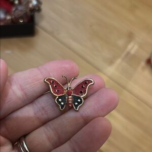 Red and Black Butterfly Brooch